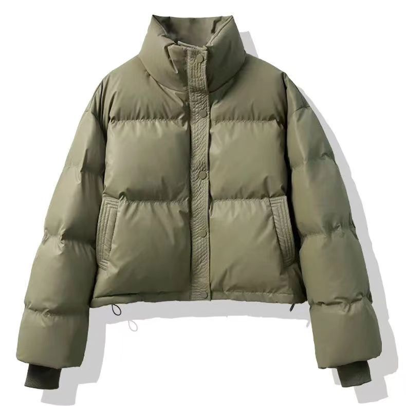 Short Stand-up Collar Down Jacket For Women, New Style For Autumn And Winter, High-end Temperament, Casual And Warm Cotton-padded Jacket For Small Size