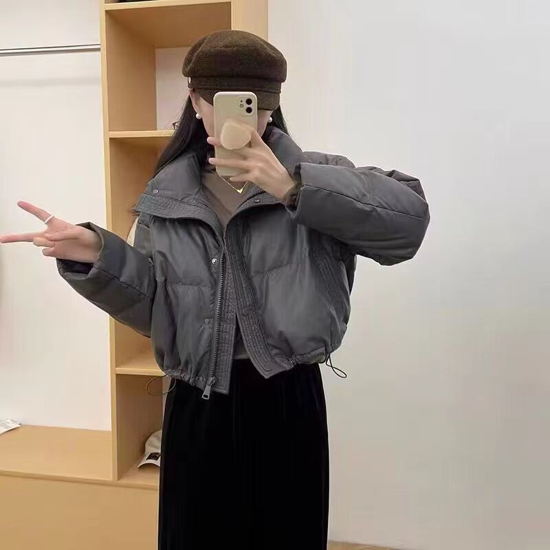 Short Stand-up Collar Down Jacket For Women, New Style For Autumn And Winter, High-end Temperament, Casual And Warm Cotton-padded Jacket For Small Size